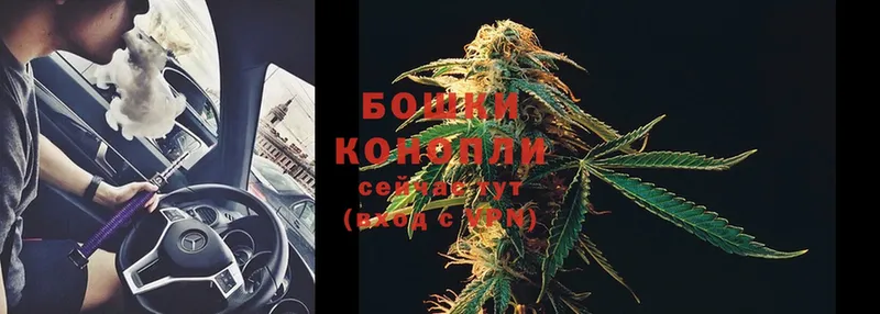 Шишки марихуана SATIVA & INDICA  где найти   блэк спрут ССЫЛКА  Миллерово 